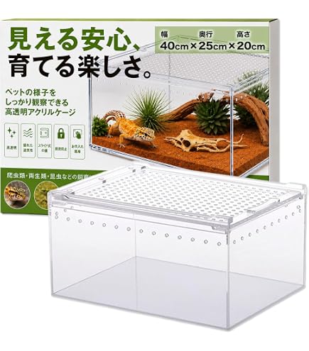 Amazon | Niesporek 爬虫類 ケージ トカゲ ケージ カナヘビ飼育ケース